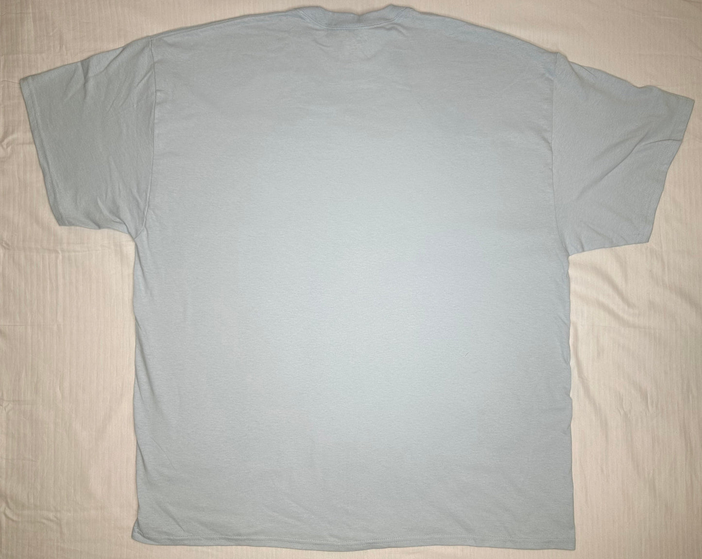 Gildan - Heavy Cotton T-Shirt in Light Blue